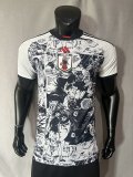 Japan Special Edition  Player  1:1 24-25