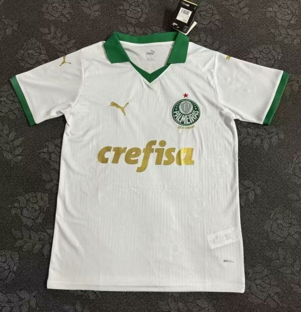 Palmeiras away fans 1:1   24-25