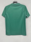 Palmeiras Training clothing green fans 1:1   24-25