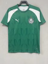 Palmeiras Training clothing green fans 1:1   24-25