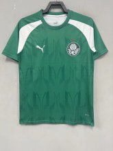 Palmeiras Training clothing green fans 1:1   24-25