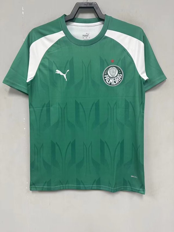 Palmeiras Training clothing green fans 1:1   24-25