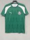 Palmeiras Training clothing green fans 1:1   24-25