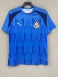 Palmeiras Training clothing blue fans 1:1   24-25
