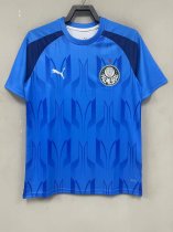 Palmeiras Training clothing blue fans 1:1   24-25