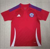 Chile home  Fans 1:1  24-25