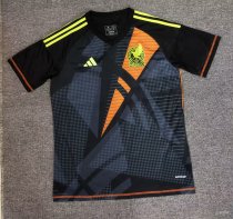 Mexico goalkeeper  Fans  1:1  24-25