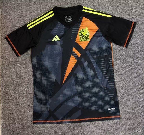 Mexico goalkeeper  Fans  1:1  24-25