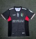 Palestino  away   Fans  1:1  24-25