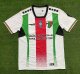 Palestino  home   Fans  1:1  24-25