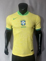 Brazil  home  Player  1:1 24-25