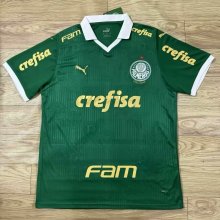 Palmeiras home fans 1:1   24-25（With logo）
