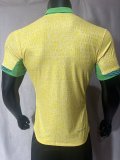 Brazil  home  Player  1:1 24-25