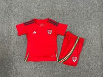 Welsh home  Kids 1:1 Quality Soccer Jersey  24-25