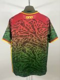Cameroon Special Edition Fans  1:1 Quality Soccer Jersey  24-25