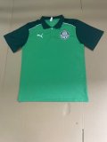 Palmeiras Special Edition  fans 1:1 Quality Soccer Jersey   24-25