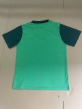 Palmeiras Special Edition  fans 1:1 Quality Soccer Jersey   24-25