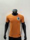 Netherlands  home   Player  1:1 Quality Soccer Jersey 24-25