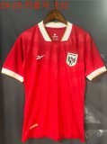 Panama Home   Fans 1:1 Quality Soccer Jersey    24-25