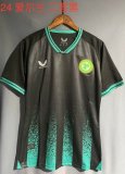 Ireland third  away  fans  24-25