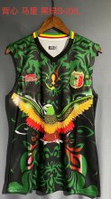 Mali Special Edition  vest   Fans  1:1 Quality Soccer Jersey   23-24