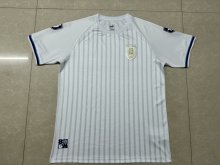 Uruguay Special Edition fans 1:1 Quality Soccer Jersey   24-25