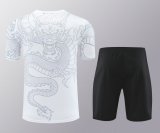 Real Madrid  Training  set 1:1 Quality Soccer Jersey    24-25