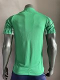 Palmeiras Special Edition player 1:1 Quality Soccer Jersey  24-25