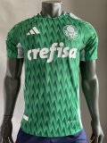 Palmeiras Special Edition player 1:1 Quality Soccer Jersey  24-25