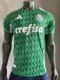 Palmeiras Special Edition player 1:1 Quality Soccer Jersey  24-25