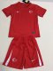 Turkey away kids 1:1 Quality Soccer Jersey   24-25