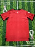 Georgia away  Fans  1:1 Quality Soccer Jersey   24-25