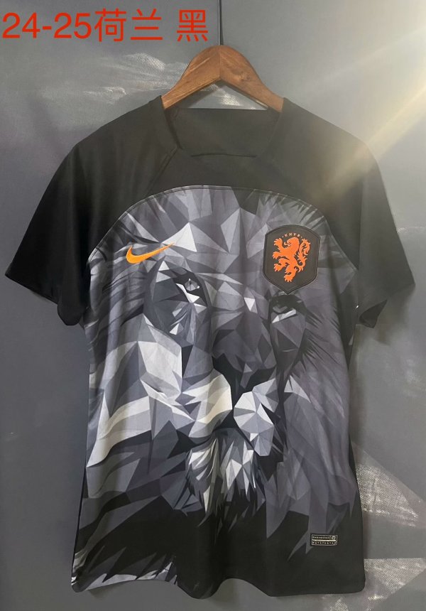 Netherlands  Special Edition  fans 1:1 Quality Soccer Jersey  24-25