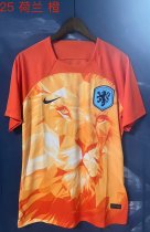 Netherlands  Special Edition  fans 1:1 Quality Soccer Jersey  24-25