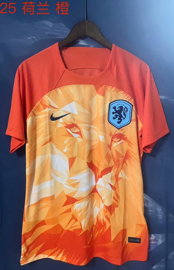 Netherlands  Special Edition  fans 1:1 Quality Soccer Jersey  24-25