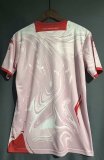 Florence third  Away Fans  1:1 Quality Soccer Jersey   24-25