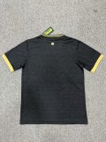 Panama Special Edition  Fans 1:1 Quality Soccer Jersey    24-25