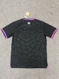 PSG Paris Special Edition fans  1:1 Quality Soccer Jersey    24-25