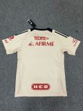 Tiger Special Edition fans 1:1 Quality Soccer Jersey  24-25
