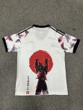 Japan Special Edition Dragon Ball Fans 1:1 24-25