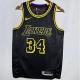 Lakers ONEAL #34 White NBA Jerseys  24-25