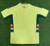 Welsh away Fans 1:1 Quality Soccer Jersey  24-25