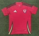 Welsh Home Fans 1:1 Quality Soccer Jersey  24-25