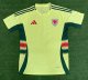 Welsh away Fans 1:1 Quality Soccer Jersey  24-25