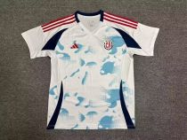 Costa Rica away Fans 1:1 Quality Soccer Jersey  24-25