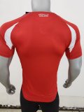 Chile home  player  1:1 Quality Soccer Jersey   24-25