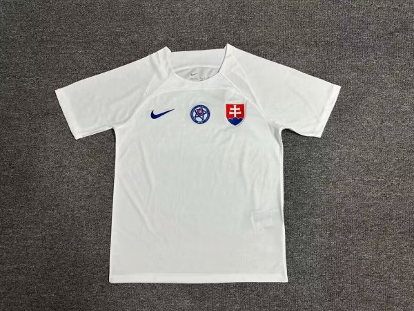 Slovakia away Fans  1:1 Quality Soccer Jersey   24-25
