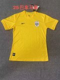 Panama Special Edition  Fans 1:1 Quality Soccer Jersey    24-25