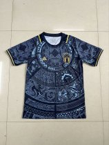 Italy anniversary edition  Fans 1:1 Quality Soccer Jersey  24-25