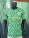 Manchester City Special Edition  Fans  1:1 Quality Soccer Jersey    24-25